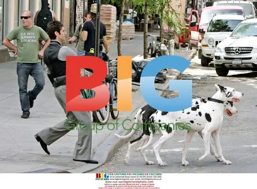 Perry Farrell walks spotted Great Danes in NYC