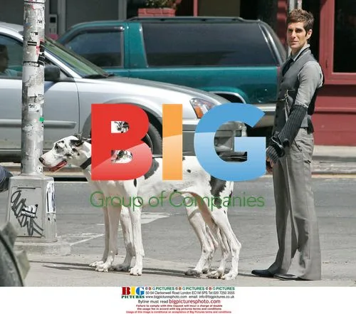 Perry Farrell walks two Great Danes