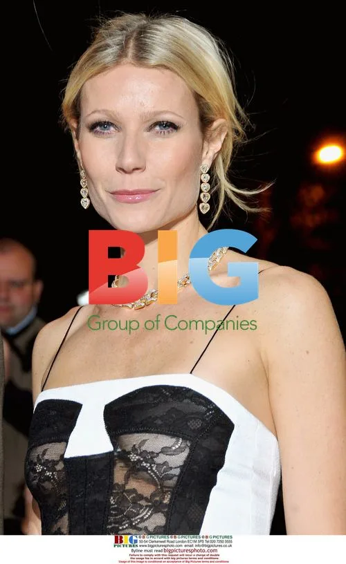 Gwyneth Paltrow at the French premiere of "Two Lovers"