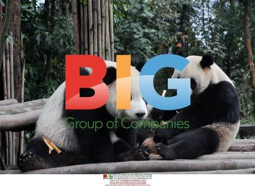 Giant pandas in Taipei, Taiwan