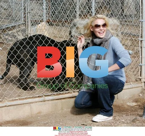 Katherine Heigl visits Villalobos Rescue Center