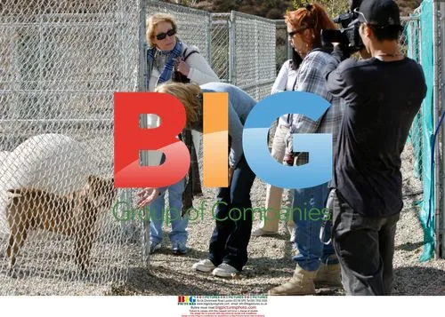 Katherine Heigl Visits Villalobos Rescue Center