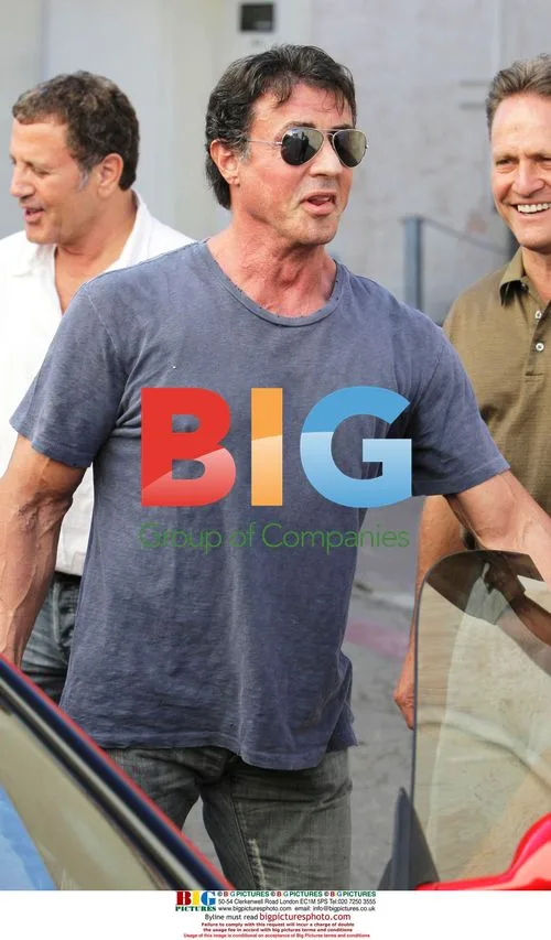 Sylvester Stallone has lunch with friends