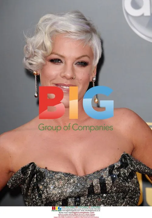 PINK at 2008 American Music Awards