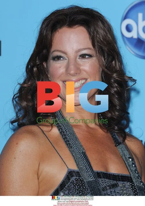 Sarah McLachlan at 2008 American Music Awards