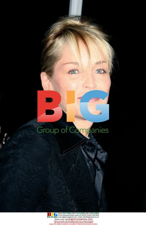 Sharon Stone at "Frost/Nixon" Premiere