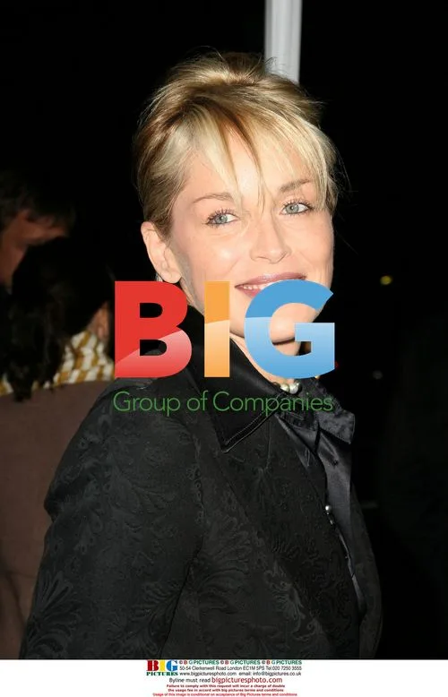 Sharon Stone at "Frost/Nixon" Premiere