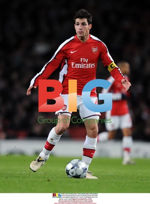 Cesc Fabregas - New Arsenal Captain