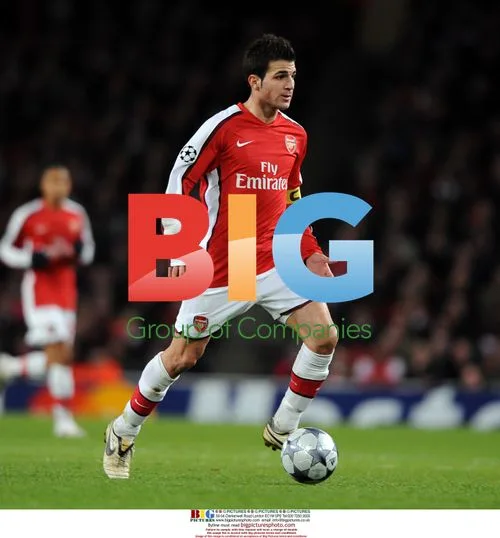 Cesc Fabregas - New Arsenal Captain