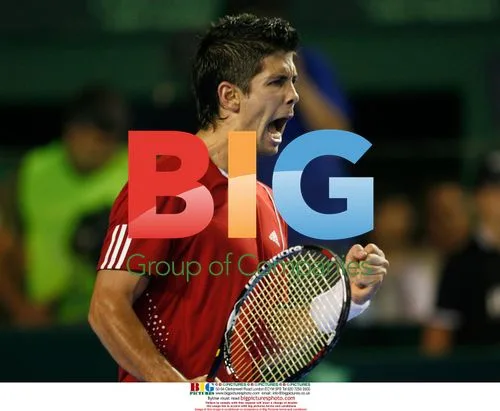 Fernando Verdasco wins Davis Cup for Spain