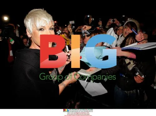 Pink at the Bambi Awards in Germany