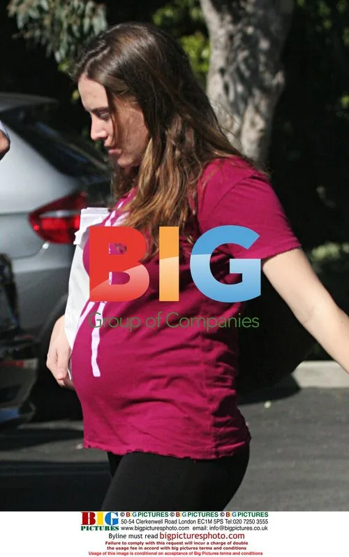 Brooke Sheen Pregnant with Twins