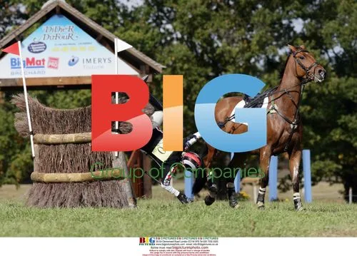 Zara Phillips takes a tumble at Lignieres horse competition