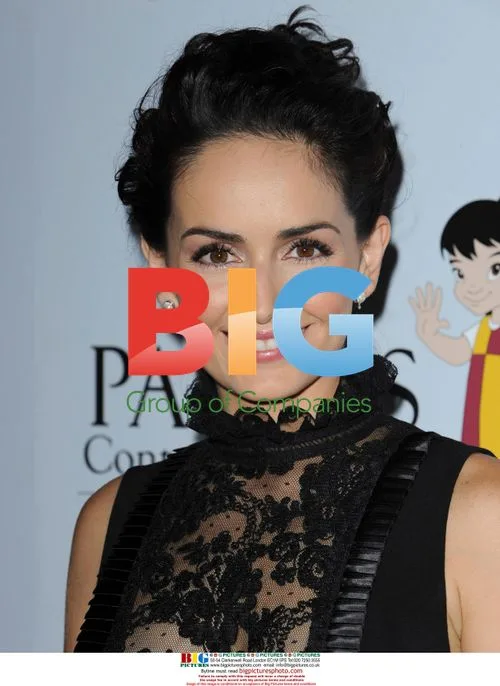 Ana de la Reguera at Padres Contra El Cancer Gala