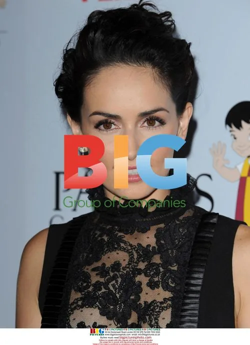 Ana de la Reguera at 'El Sueno De Esperanza' Gala