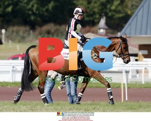 Zara Phillips Tumble at Lignieres