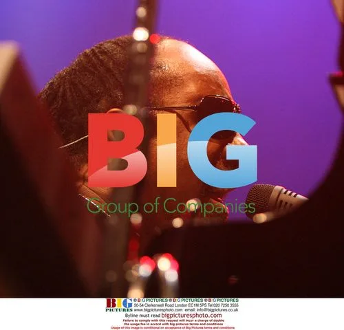 Stevie Wonder performs with daughter Aisha