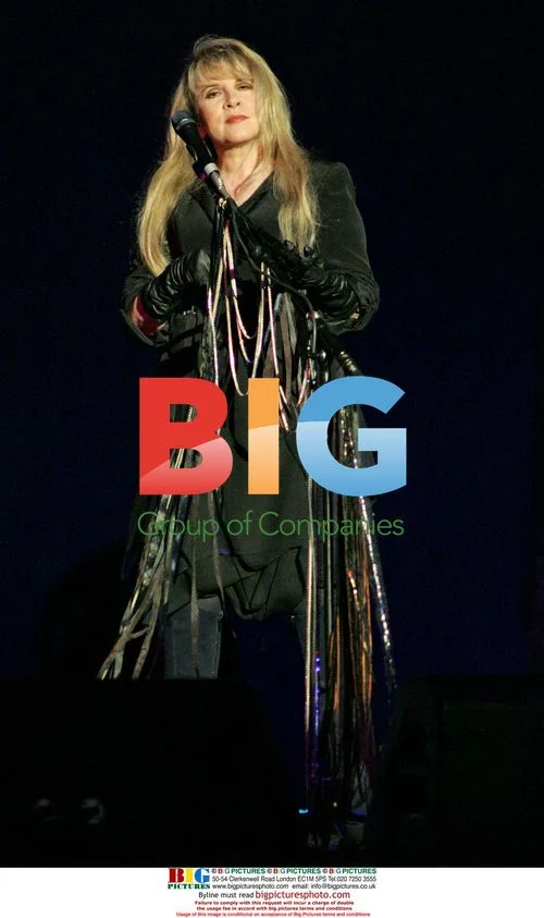 Stevie Nicks Performs in Concert in Florida