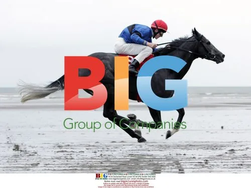 Patrickswell wins Seaview Slovakia Handicap
