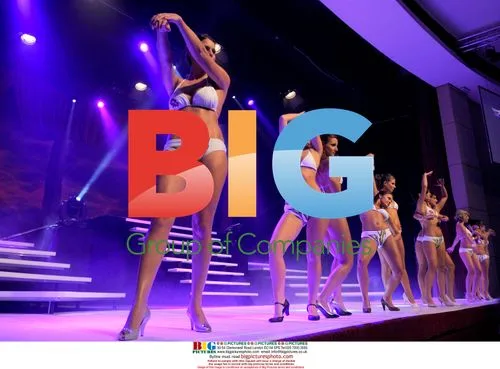 Miss Belgian Beauty 2008 Finalists