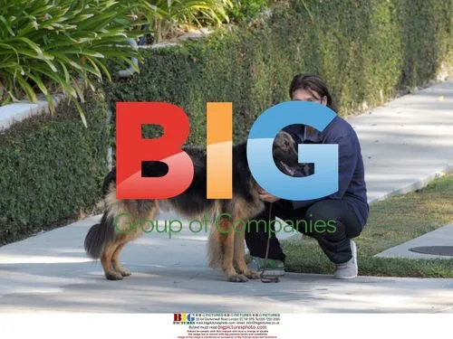 Billy Ray Cyrus walking dog in LA