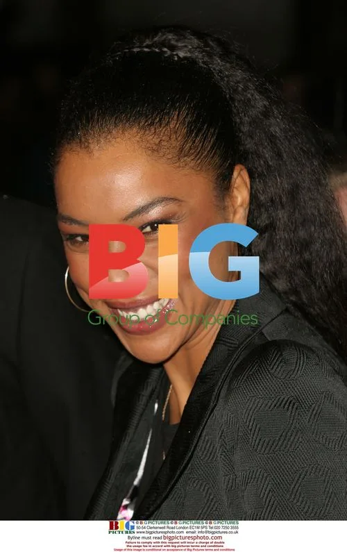 Paul Bettany and Sophie Okonedo at 'Secret Life of Bees' Screening