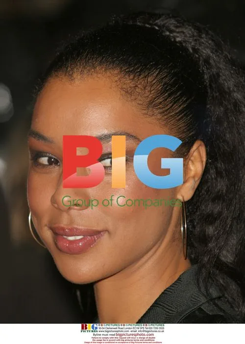 Paul Bettany and Sophie Okonedo at 'Secret Life of Bees' Screening