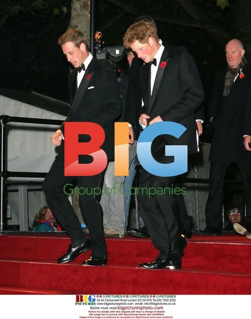 Prince William and Prince Harry at Bond Premiere