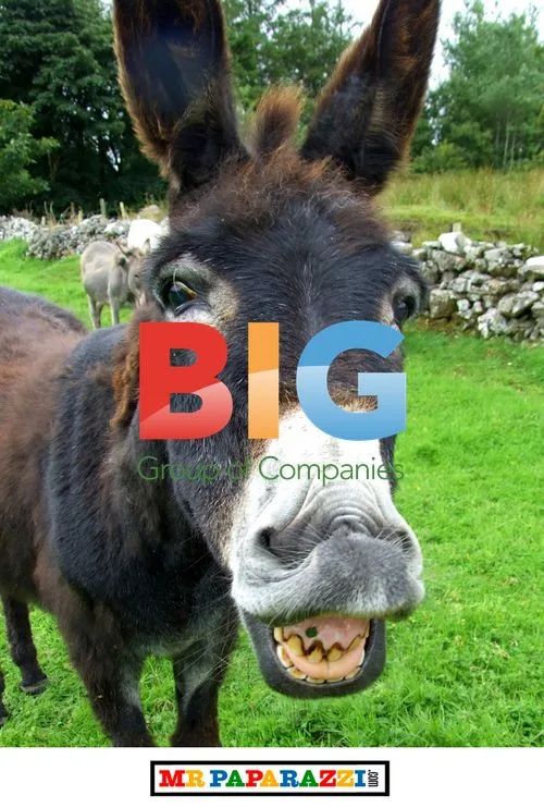 Cheerful Donkey During World Financial Crisis