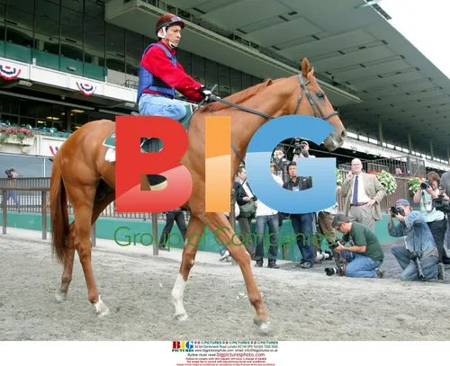 Jockey Edgar Prado Prepares for Belmont Stakes