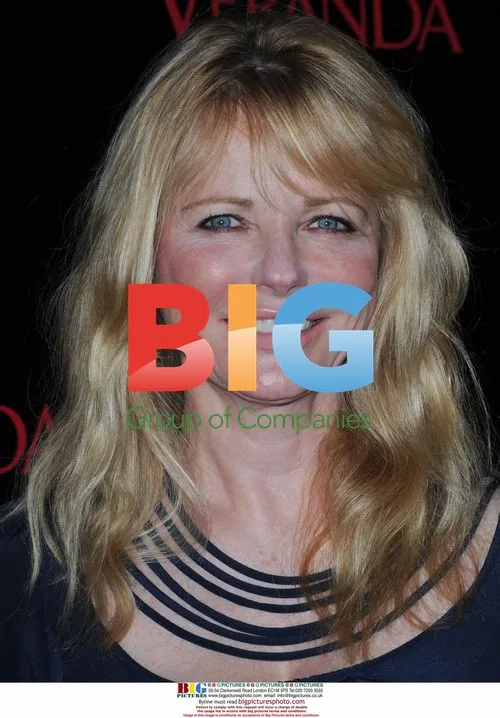 Cheryl Tiegs at 'The Great House' opening
