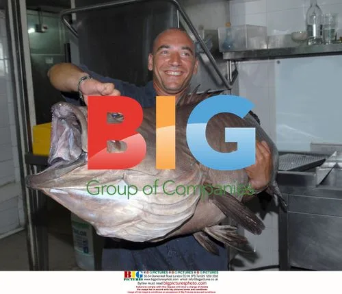 Paolo Milillo Catches 50 kg Groper