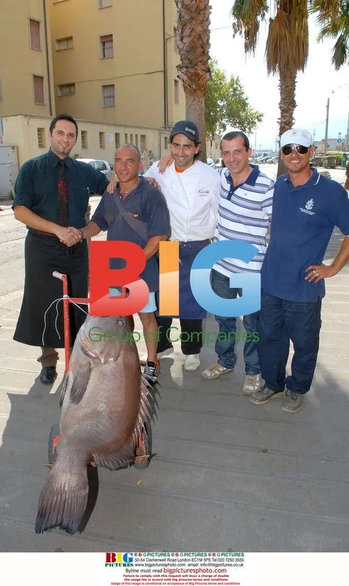Paolo Milillo Catches Record 50kg Groper
