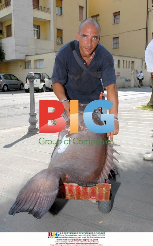 Paolo Milillo catches record-breaking 50 kg Groper