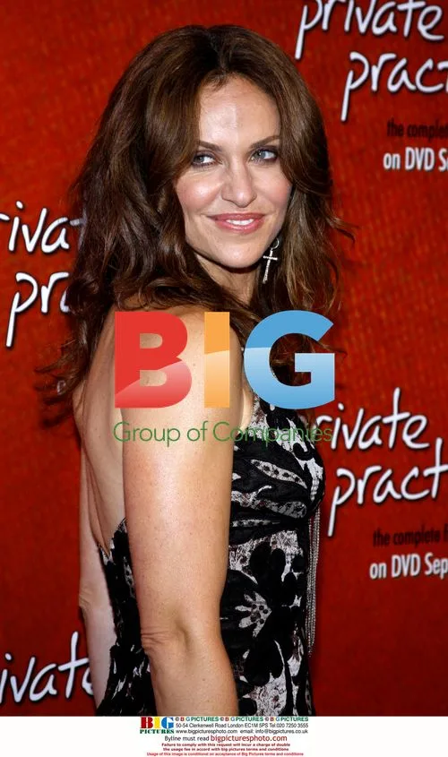 Amy Brenneman at "Private Practice" DVD Launch