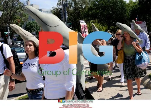 Protest against Japanese dolphin drive fisheries