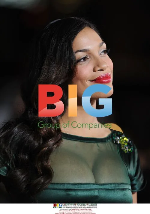 Rosario Dawson at "Eagle Eye" premiere