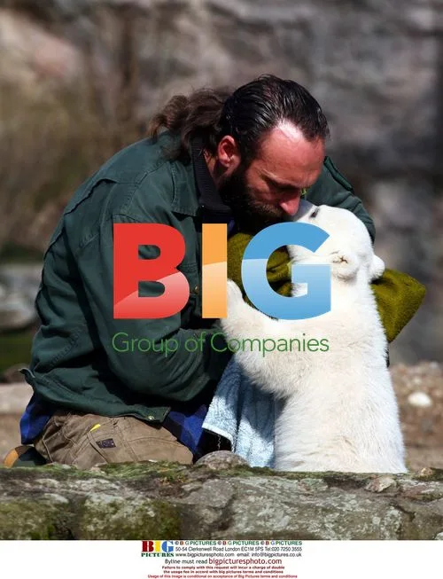 Baby Polar Bear Knut Introduced