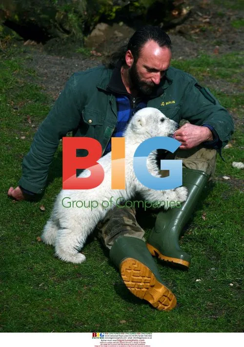Polar Bear Cub Knut Introduced