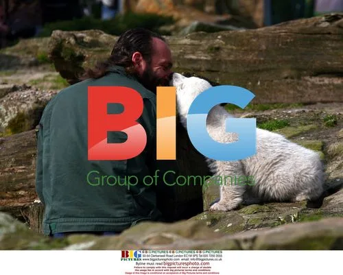 Baby Polar Bear 'Cute' Knut Introduced