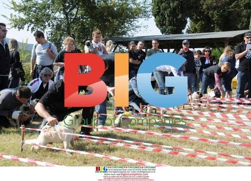 Carlino Dog Olympics in Tuscany