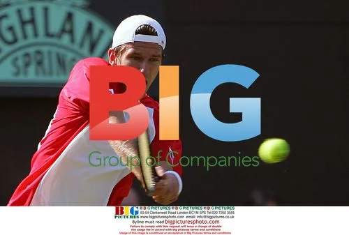 Jurgen Melzer in Davis Cup Tennis Action