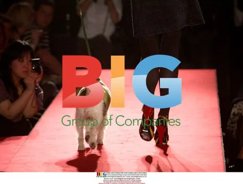 Pet A Porter Dog Fashion Show at Harrods