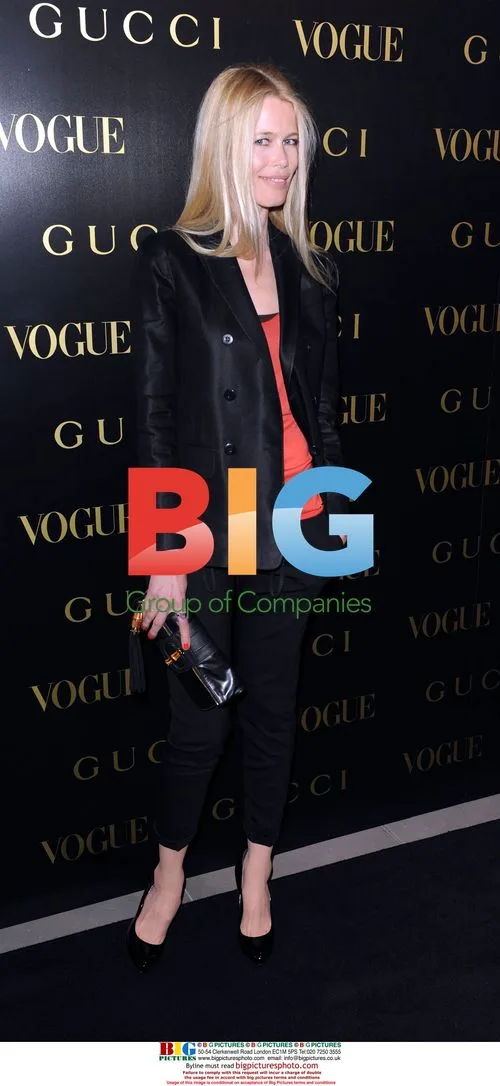 Celebrities Attend Dinner Honoring Frieda Giannini