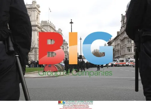 Protesters at Westminster Bridge in London