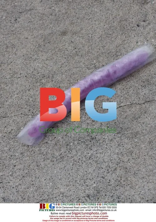 Janice Dickinson Throws Vibrator