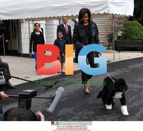First Family Introduces New Dog Bo