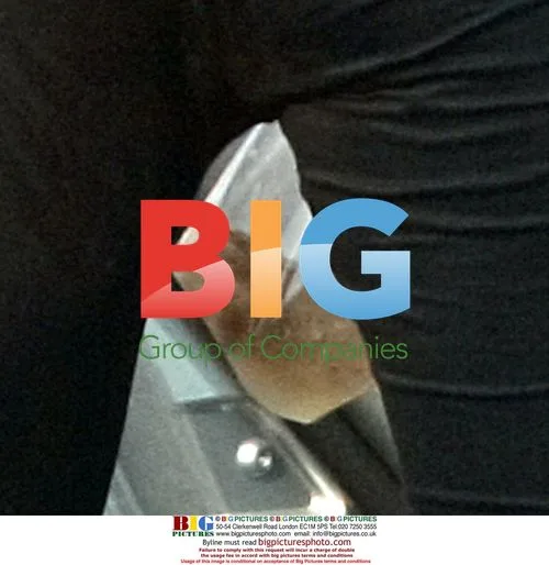 Kerry Katona Seen With Plastic Bag