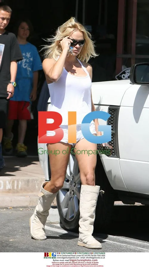 Pamela Anderson picks up boogie boards in Malibu