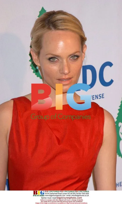 Amber Valetta at NRDC 20th Anniversary